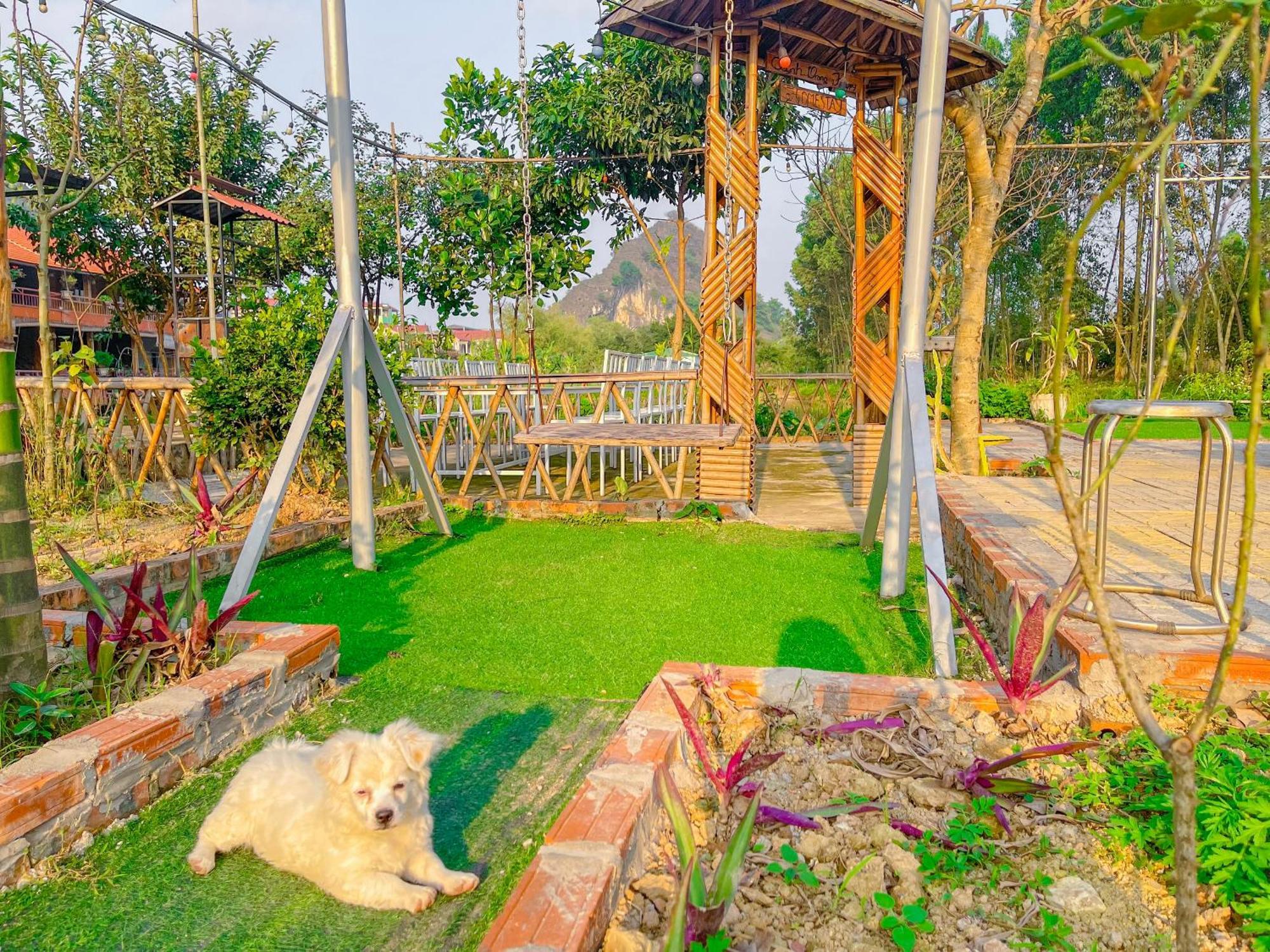 Trang An Quynh Trang Happy Homestay & Garden Ниньбинь Экстерьер фото