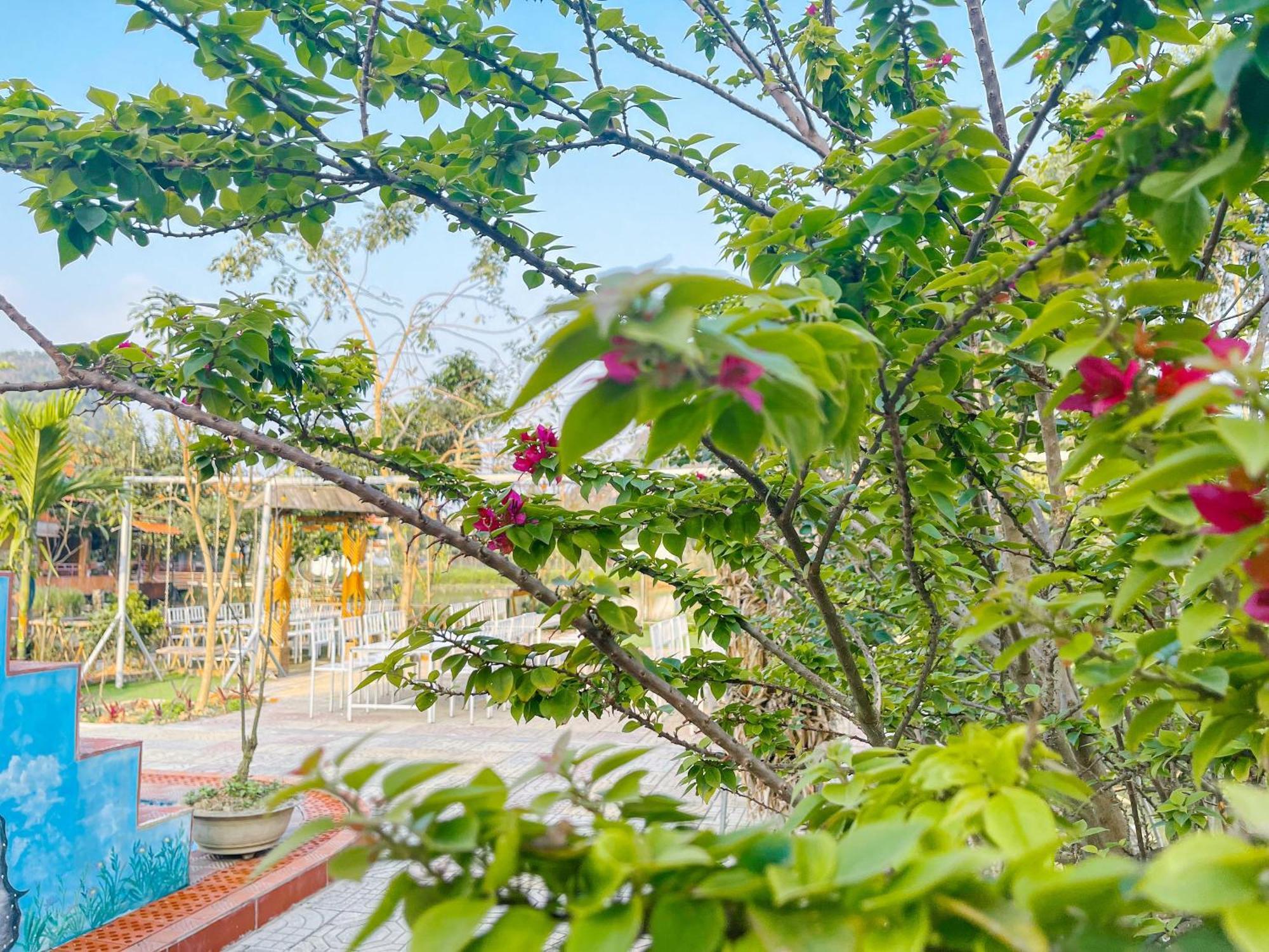 Trang An Quynh Trang Happy Homestay & Garden Ниньбинь Экстерьер фото