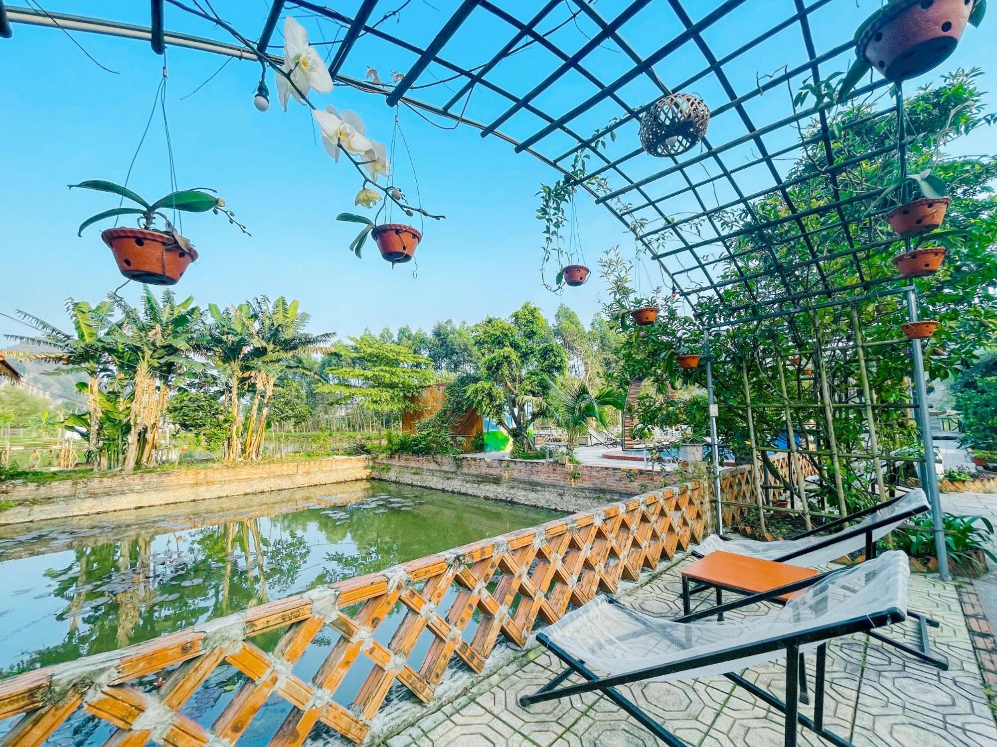Trang An Quynh Trang Happy Homestay & Garden Ниньбинь Экстерьер фото